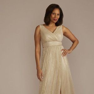 Oleg Cassini Formal Long Dress